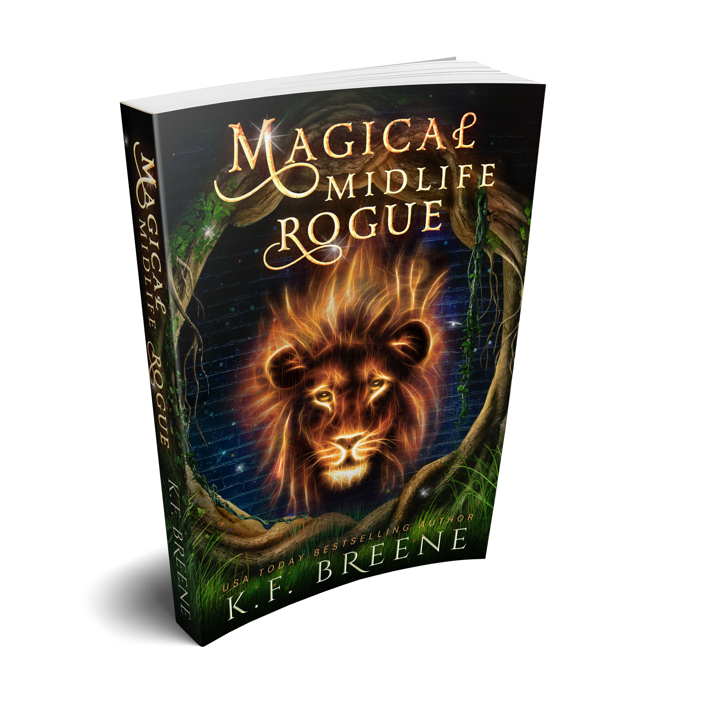 Magical Midlife Rogue (Leveling Up Series, Book 12), 1st edition