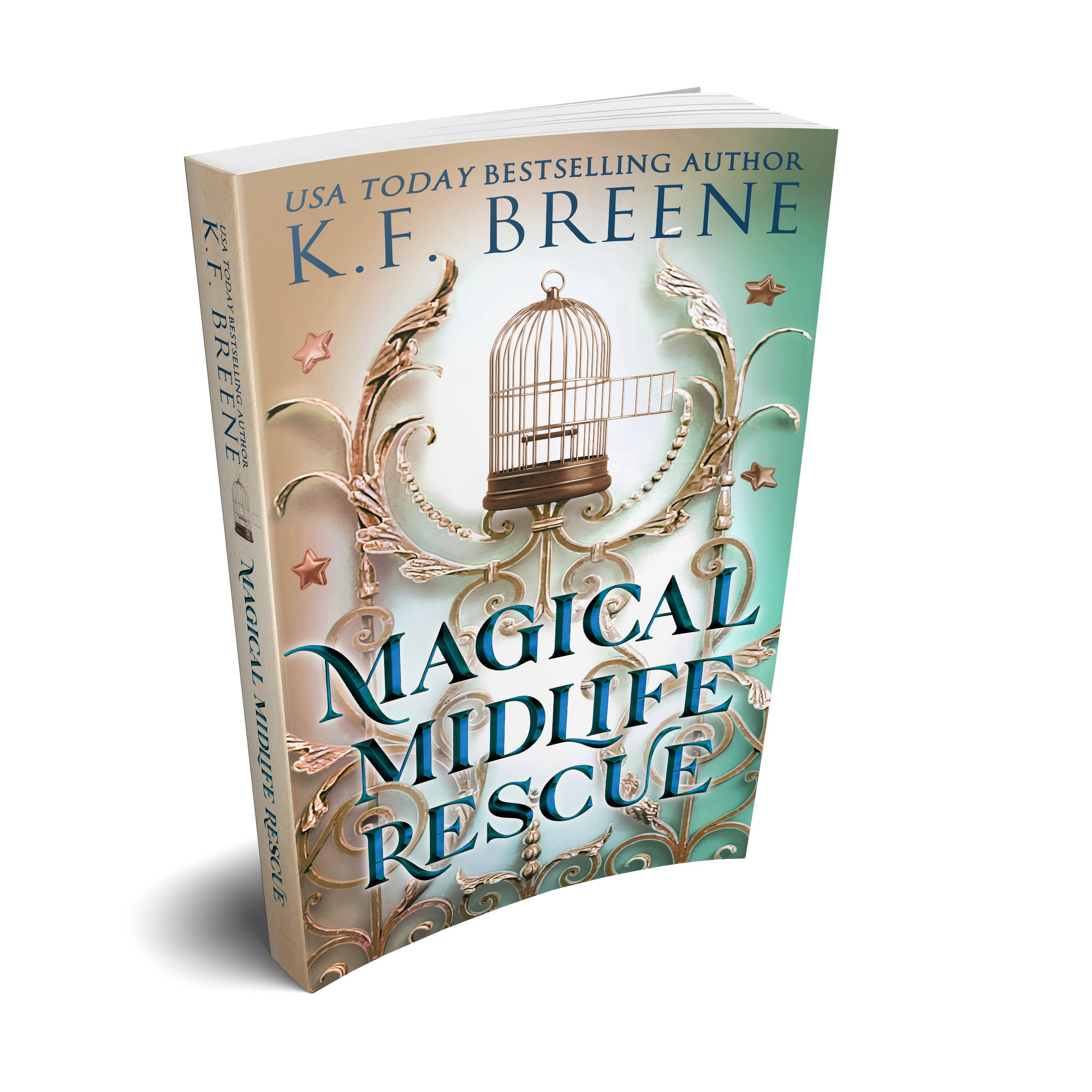Magical Midlife Rescue (Leveling Up series, Book 11, 2nd edition
