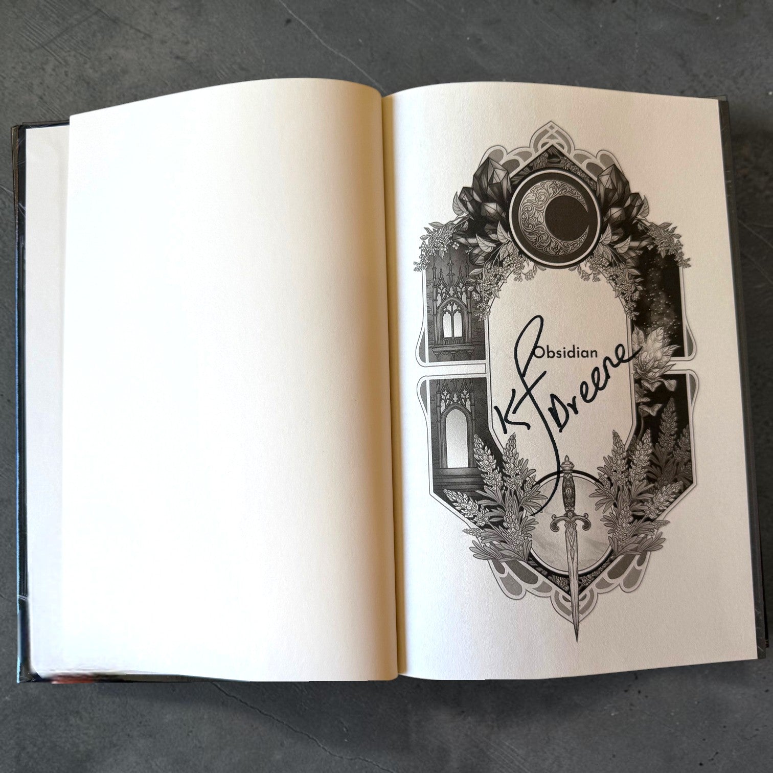Obsidian Hardcover (Shadowbound Fae, Book 1)