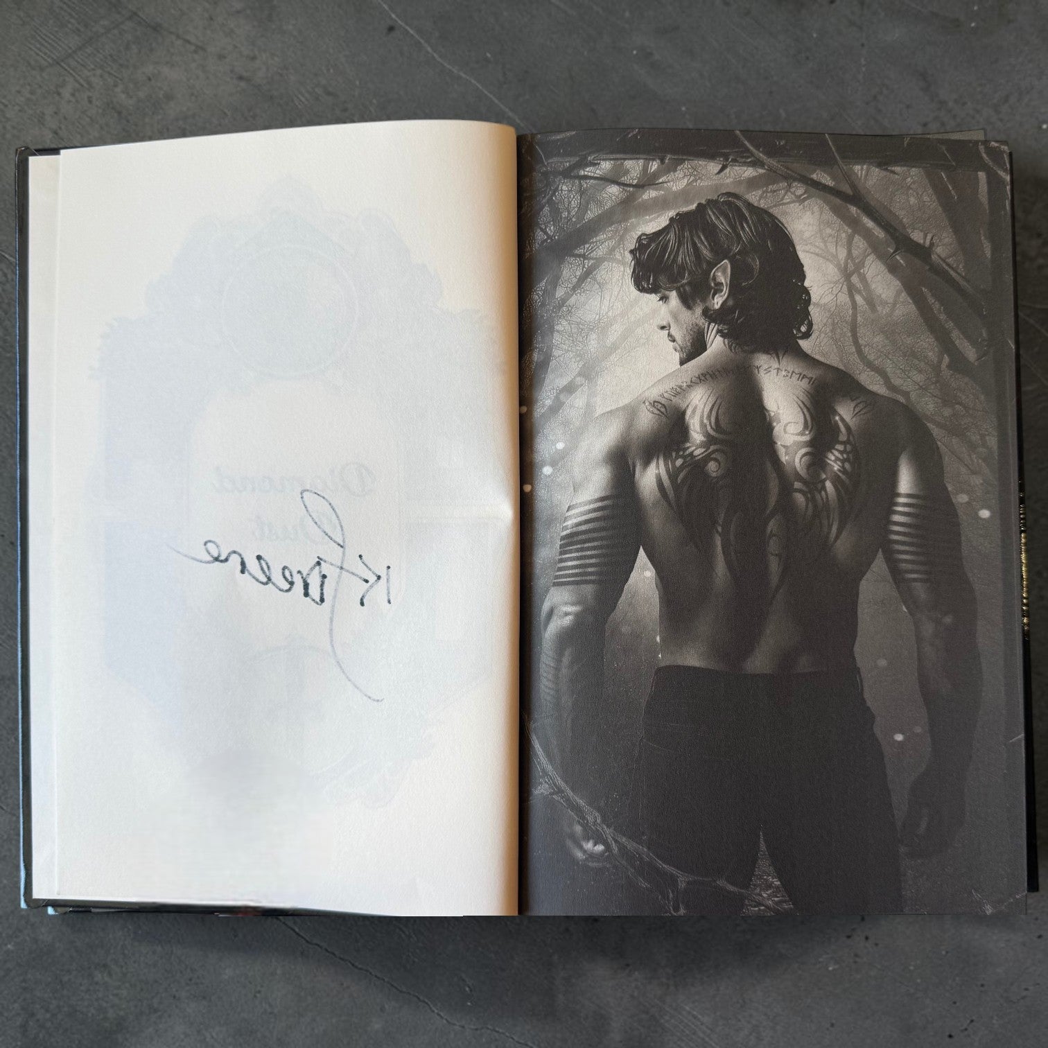 Diamond Dust Hardcover (Shadowbound Fae, Book 2)