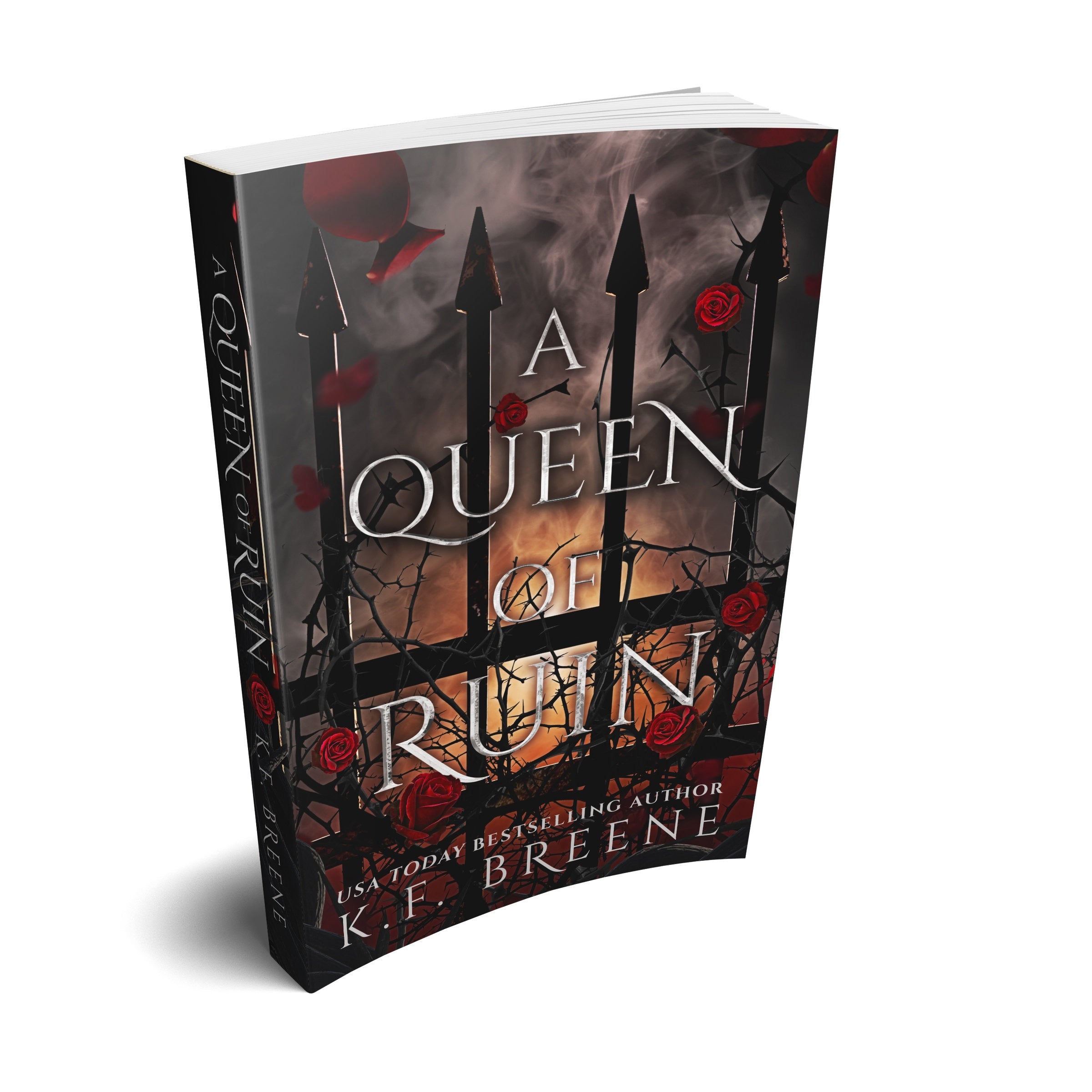 A Queen of Ruin Paperback (Deliciously Dark Fairytales, Book 4)