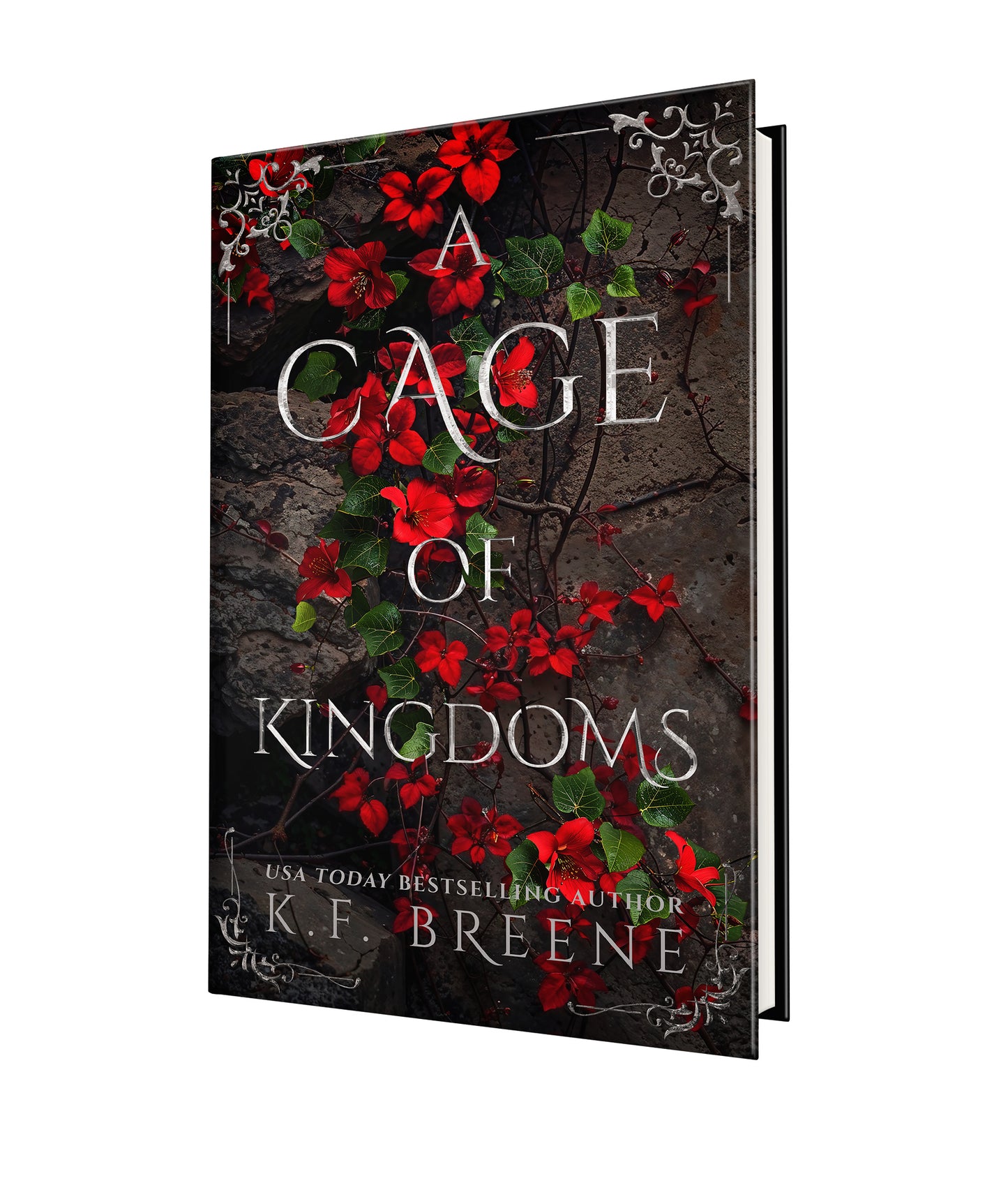 A Cage of Kingdoms Hardcover (Deliciously Dark Fairytales - Red Riding Hood book 2)