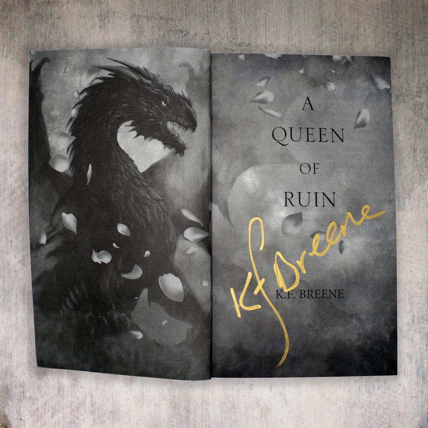 A Queen of Ruin SE Paperback (Deliciously Dark Fairytales series, book 4)