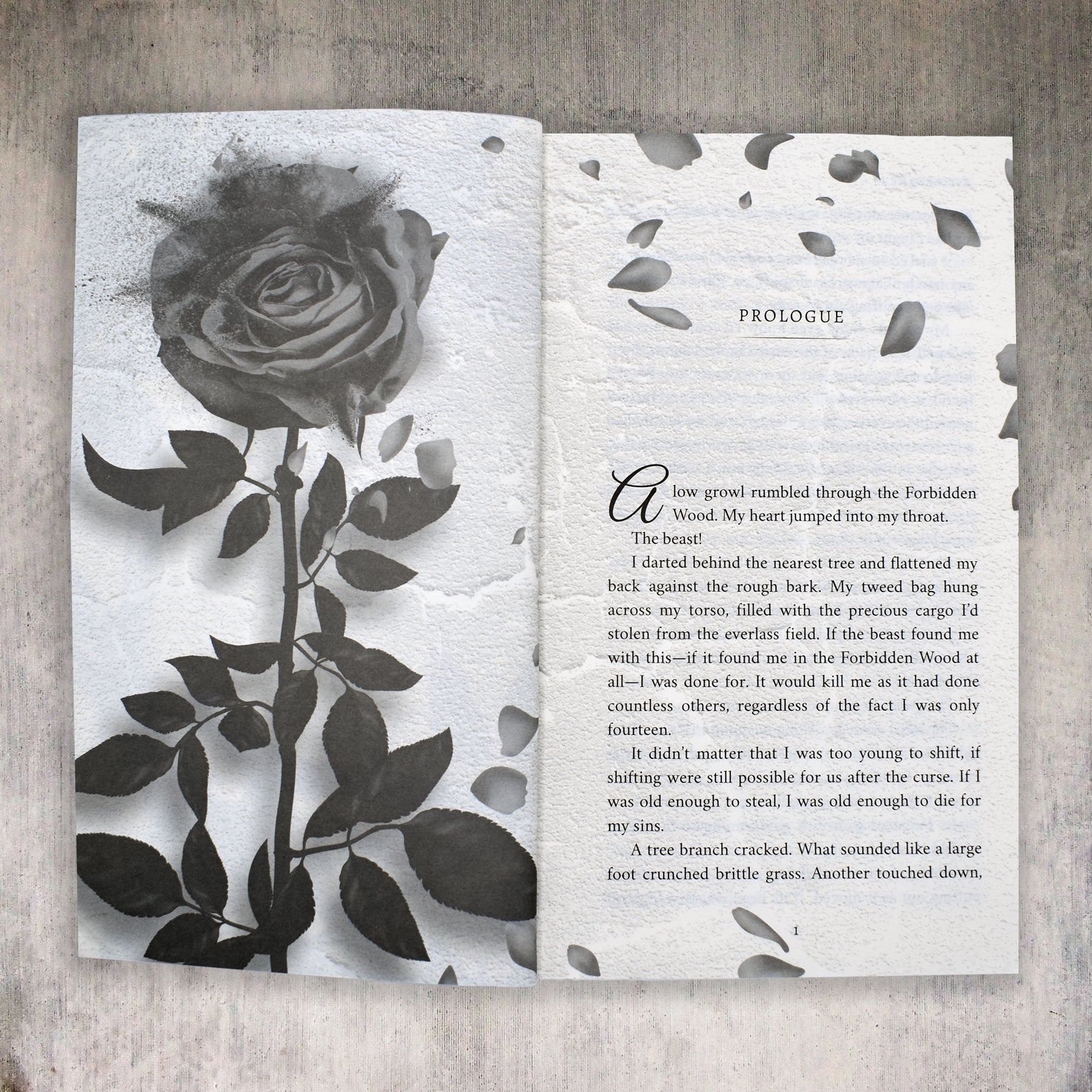 A Ruin Of Roses Special Edition Paperback (Deliciously Dark Fairytales, Book 1)