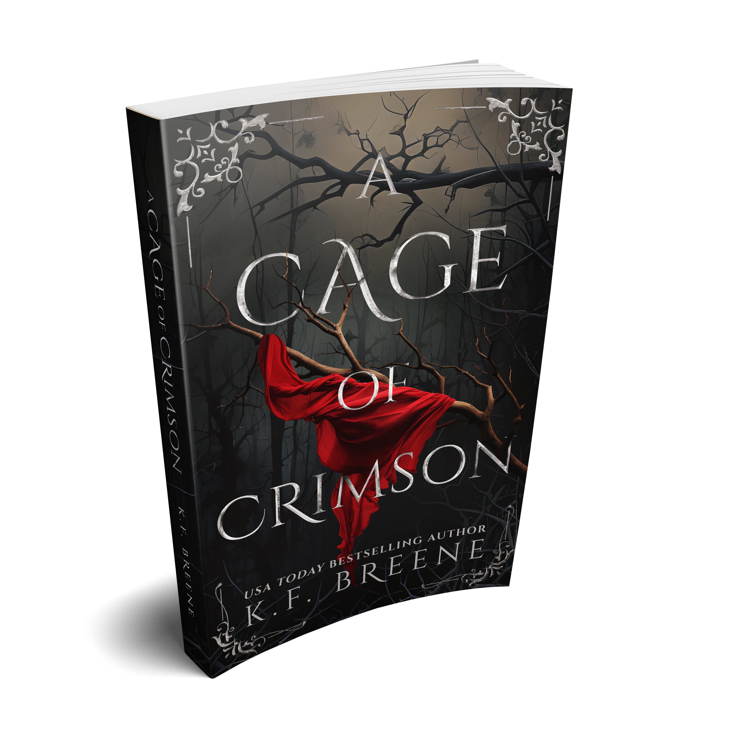 A Cage of Crimson Paperback (Deliciously Dark Fairytales, Book 5)