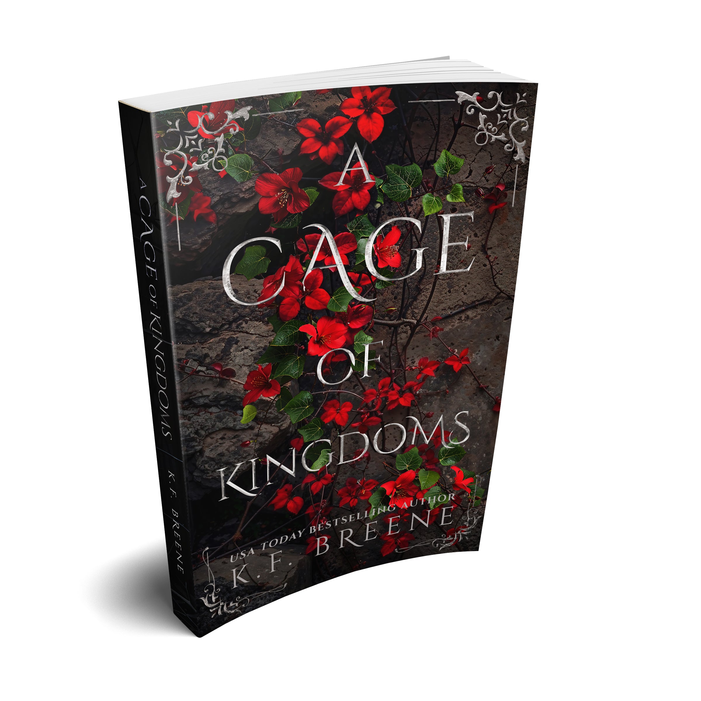 A Cage of Kingdoms Paperback (Deliciously Dark Fairytales, Book 6)