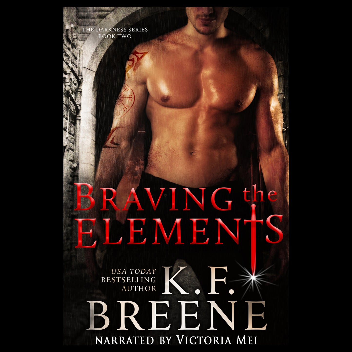 Braving the Elements audiobook (Darkness series, book 2)