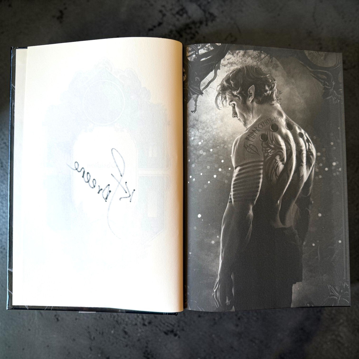 Obsidian Hardcover (Shadowbound Fae, Book 1)