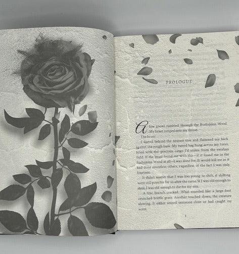 A Ruin Of Roses Special Edition Hardcover w/Sprayed Edges (Deliciously Dark Fairytales series, book 1)