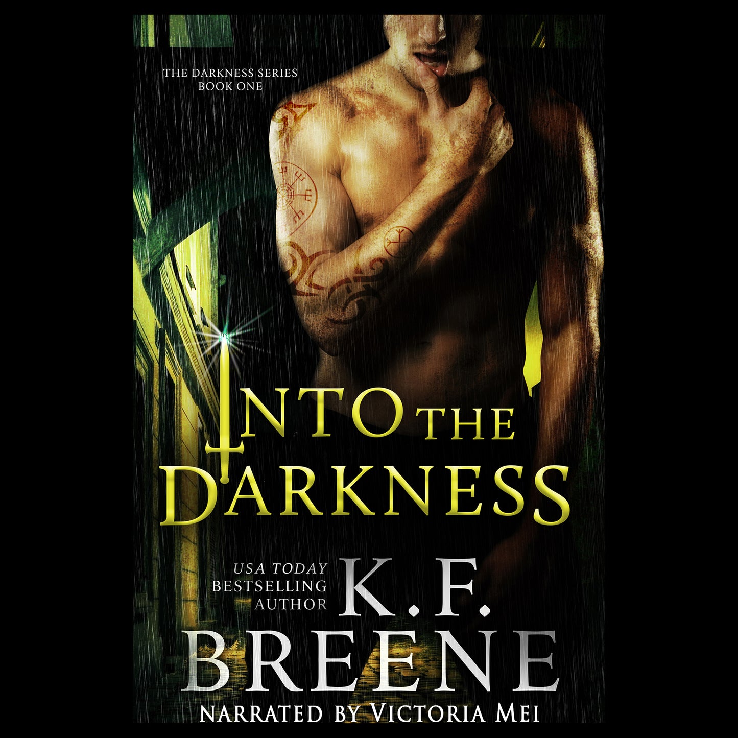 Into the Darkness audiobook (Darkness series, book 1)