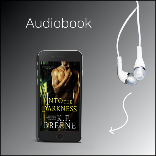 Into the Darkness audiobook (Darkness series, book 1)