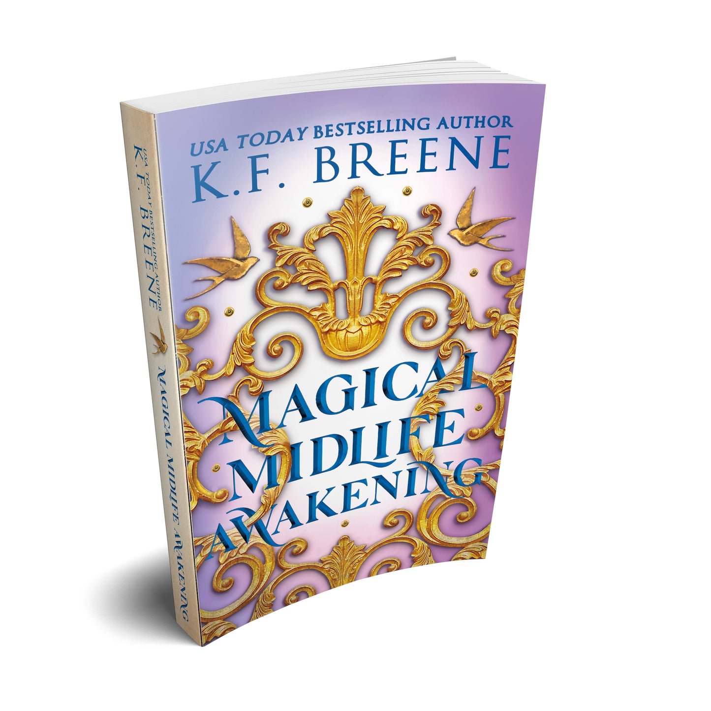 Leveling Up/Magical Midlife Series Bundle, Paperback, 2nd Edition.