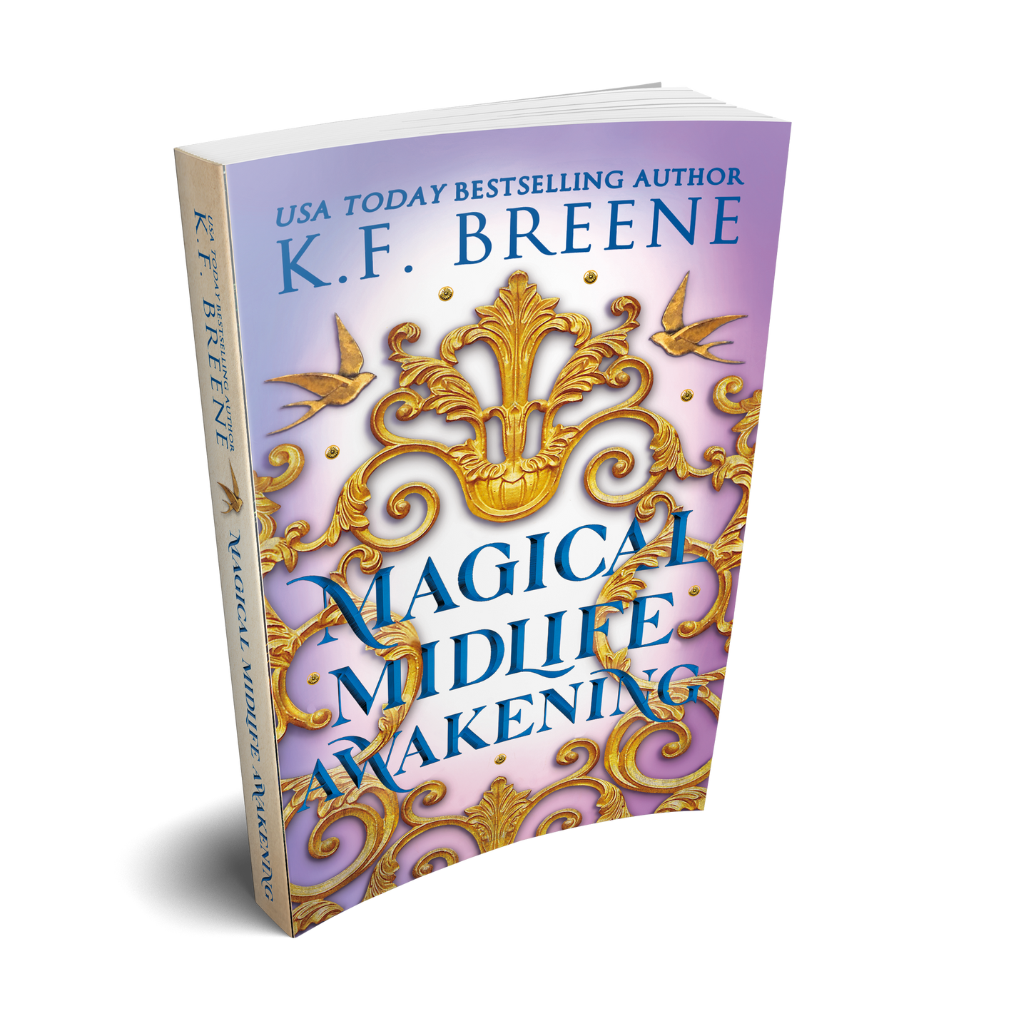 Magical Midlife Awakening (Leveling Up series, book 10), 2nd Edition