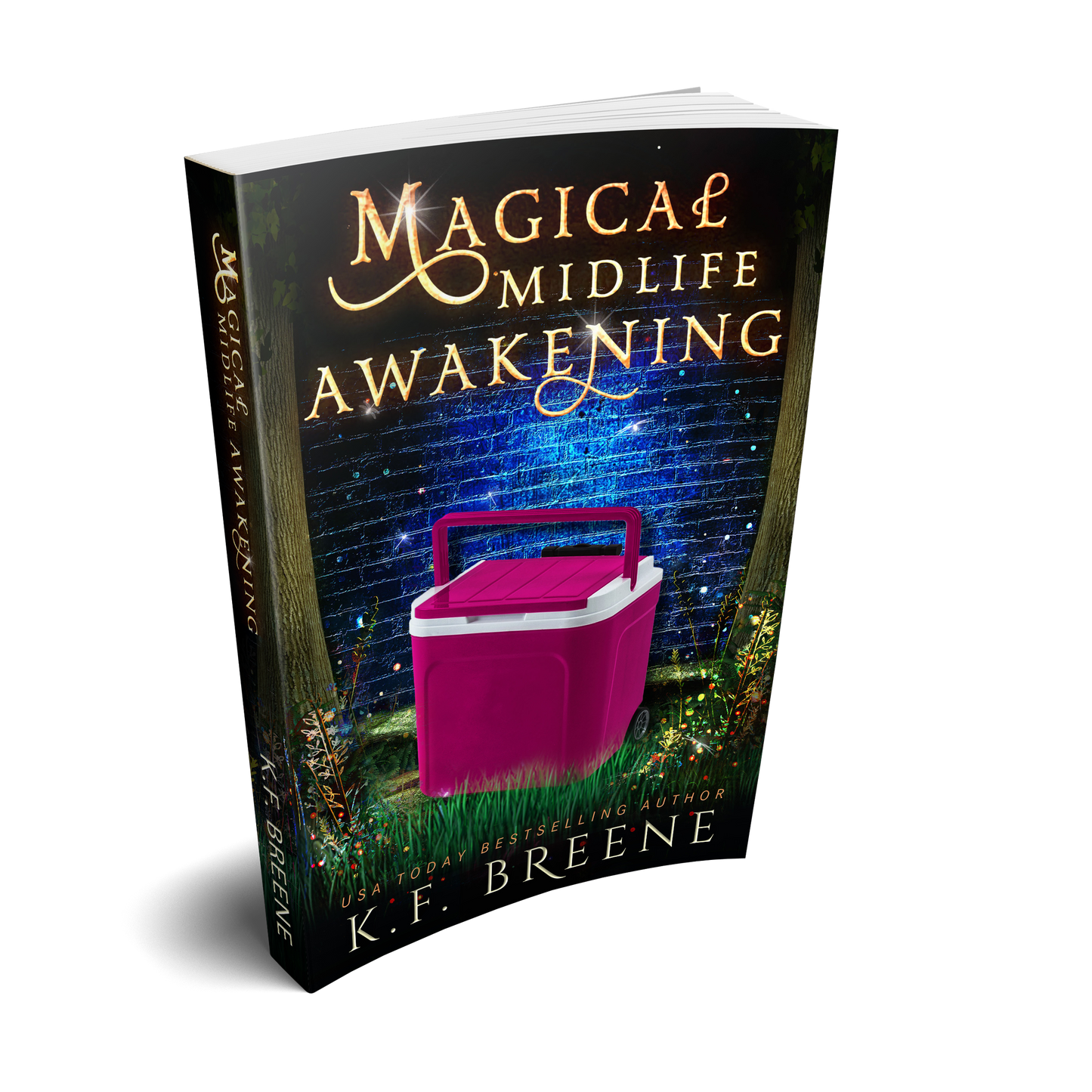 Magical Midlife Awakening (Leveling Up series, book 10), 1st Edition