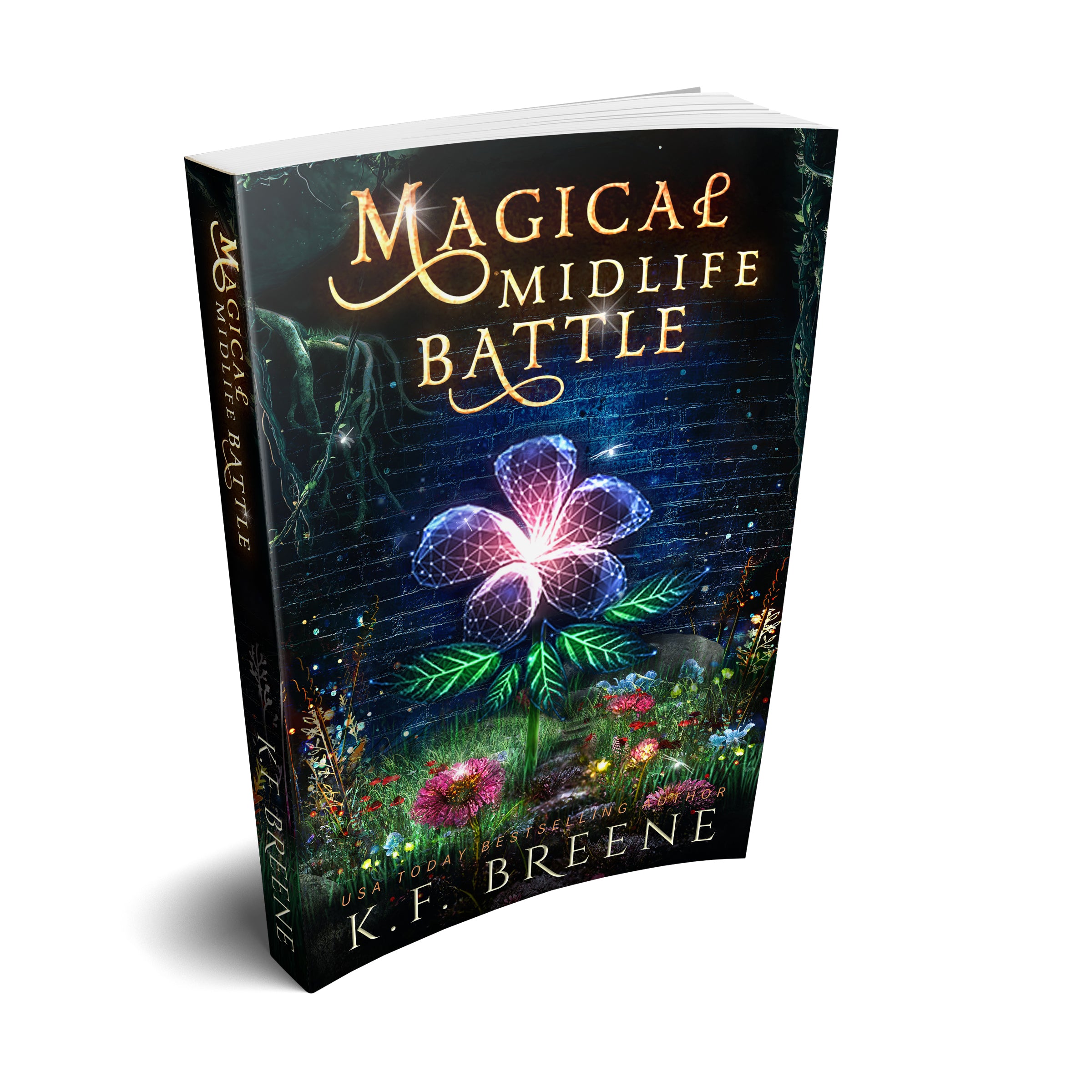 Magical Midlife Battle (Leveling Up Series, Book 9), 1st edition