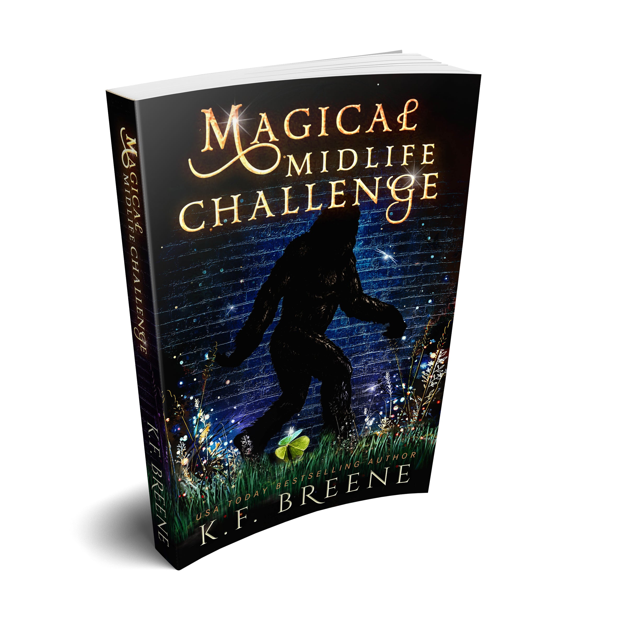 Magical Midlife Challenge (Leveling Up Series, Book 6), 1st edition