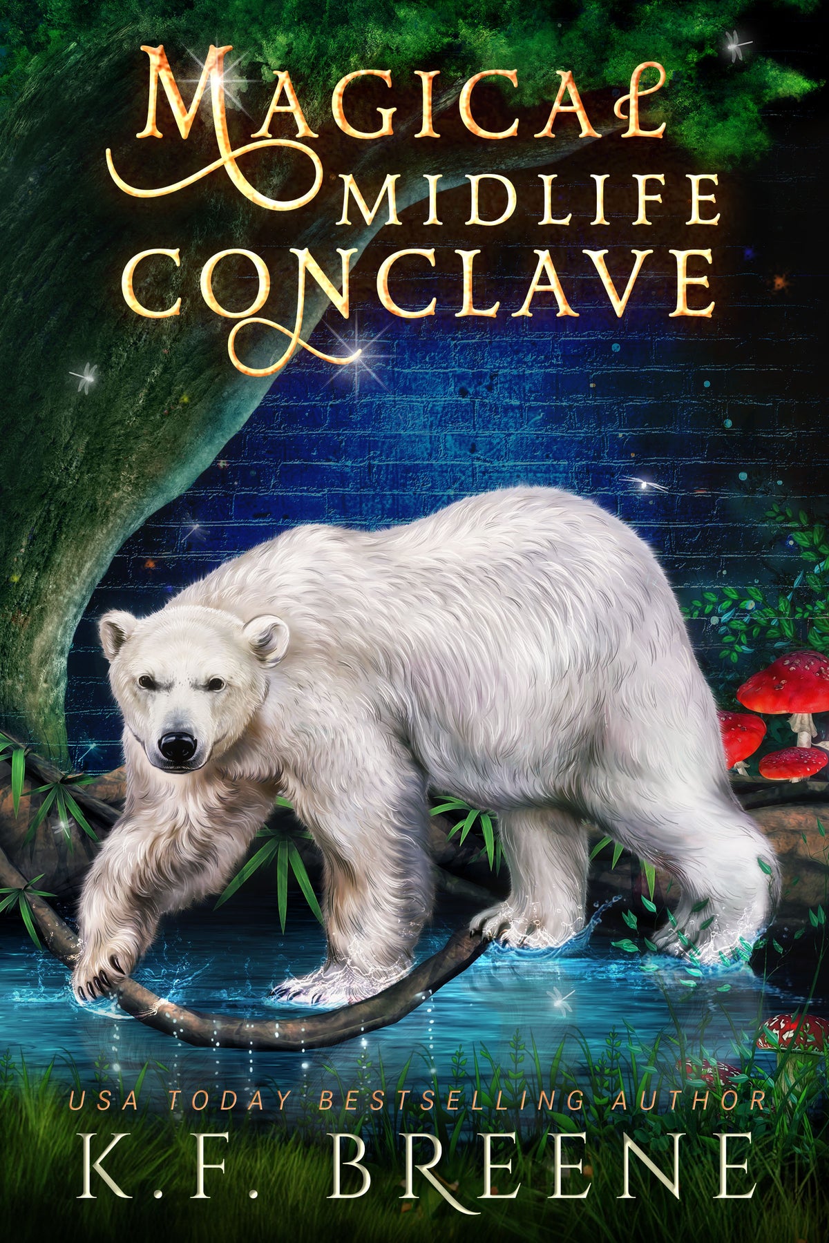 Magical Midlife Conclave (Leveling Up Series, Book 13), 1st edition