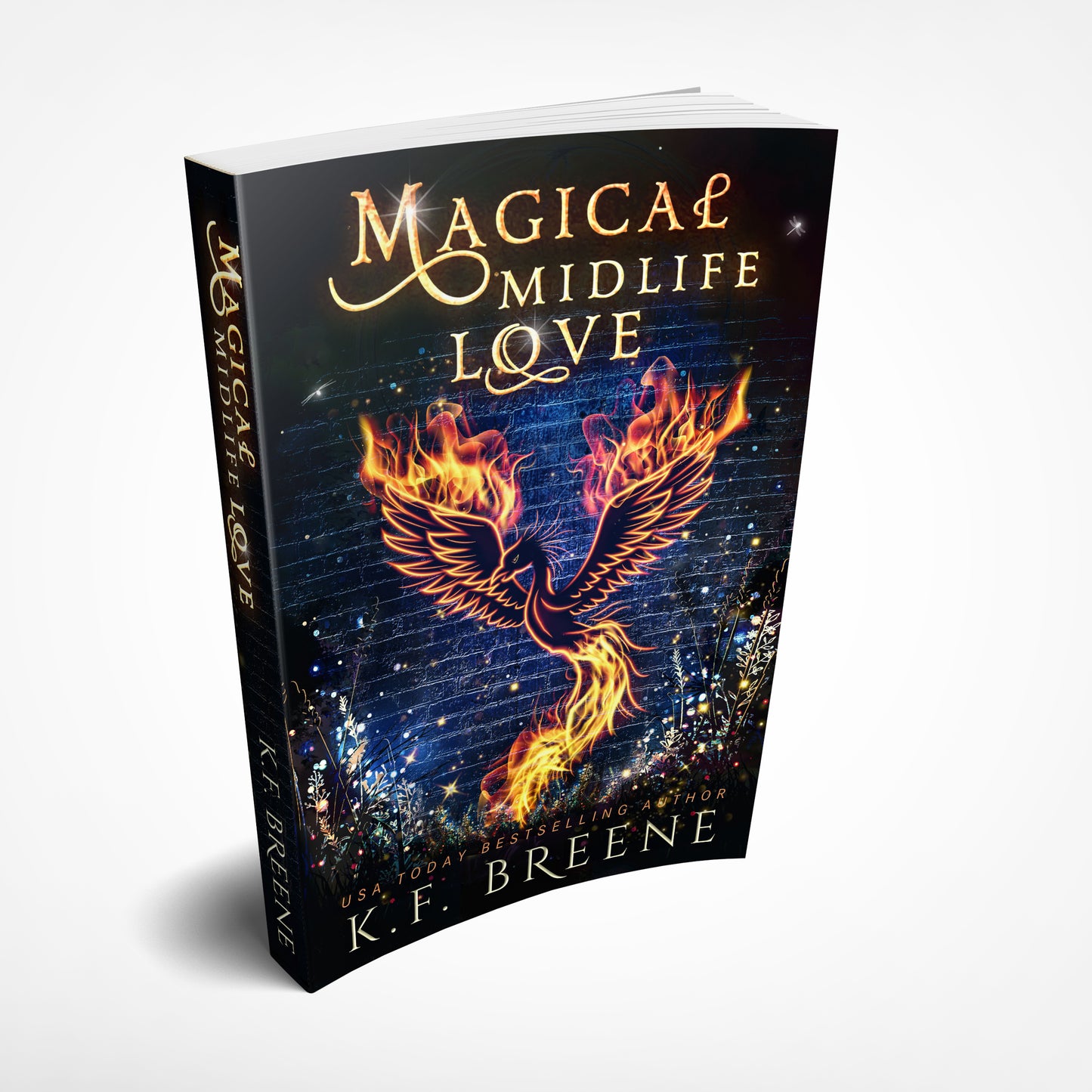 Magical Midlife Love (Leveling Up series, book 4), 1st edition