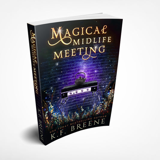 Magical Midlife Meeting (Leveling Up series, book 5), 1st edition