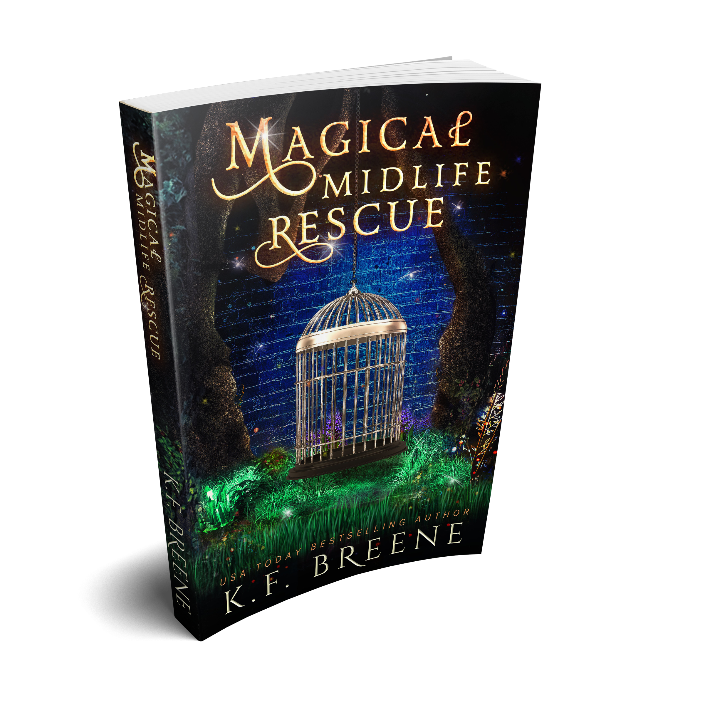 Magical Midlife Rescue (Leveling Up Series, Book 11), 1st edition