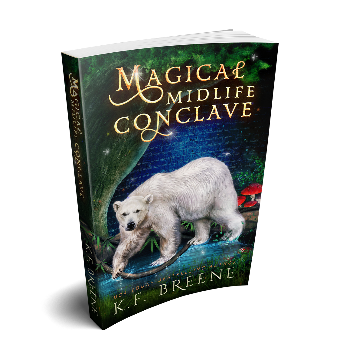Magical Midlife Conclave (Leveling Up Series, Book 13), 1st edition