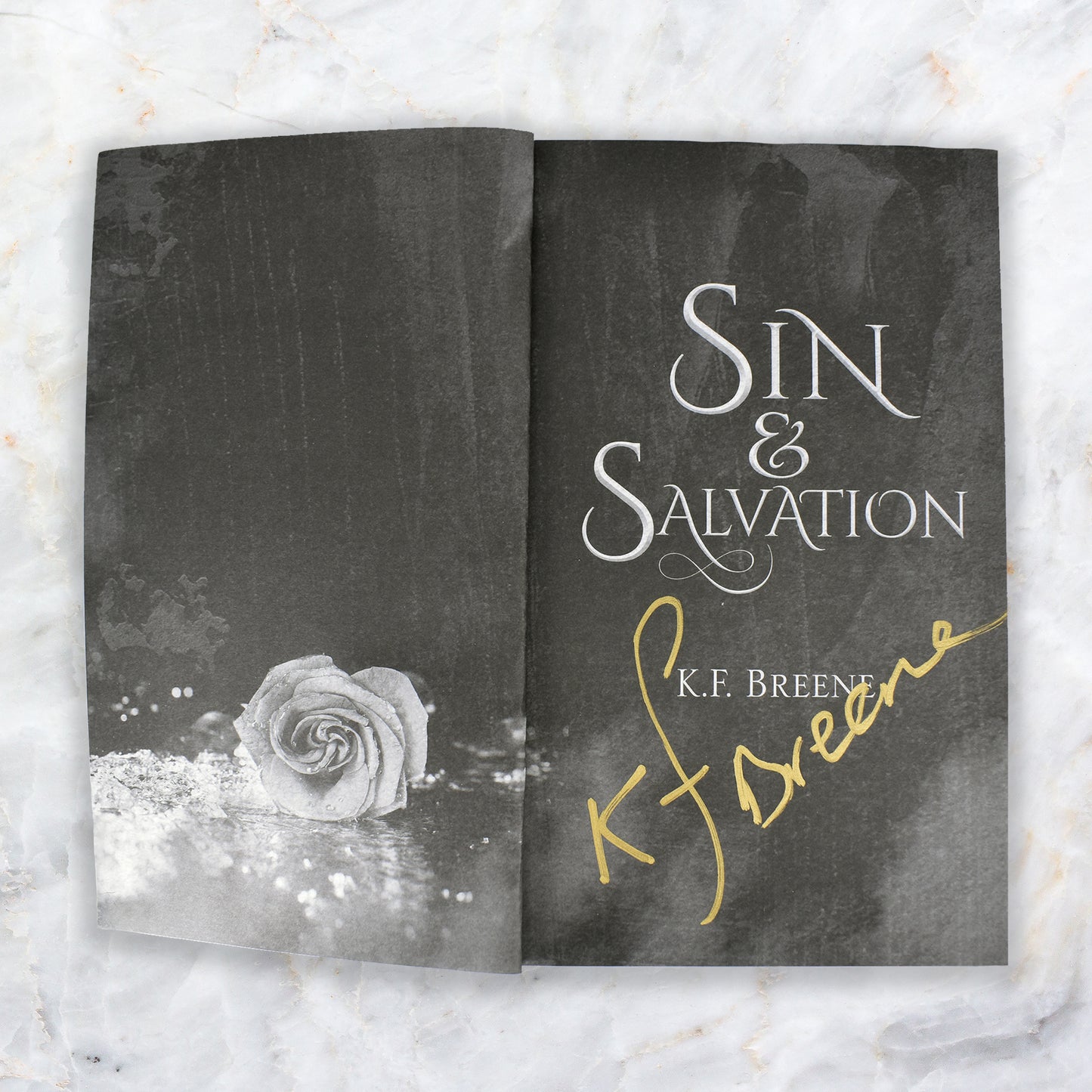 Sin & Salvation SE Paperback (Demigods of San Francisco, book 3), 2nd edition