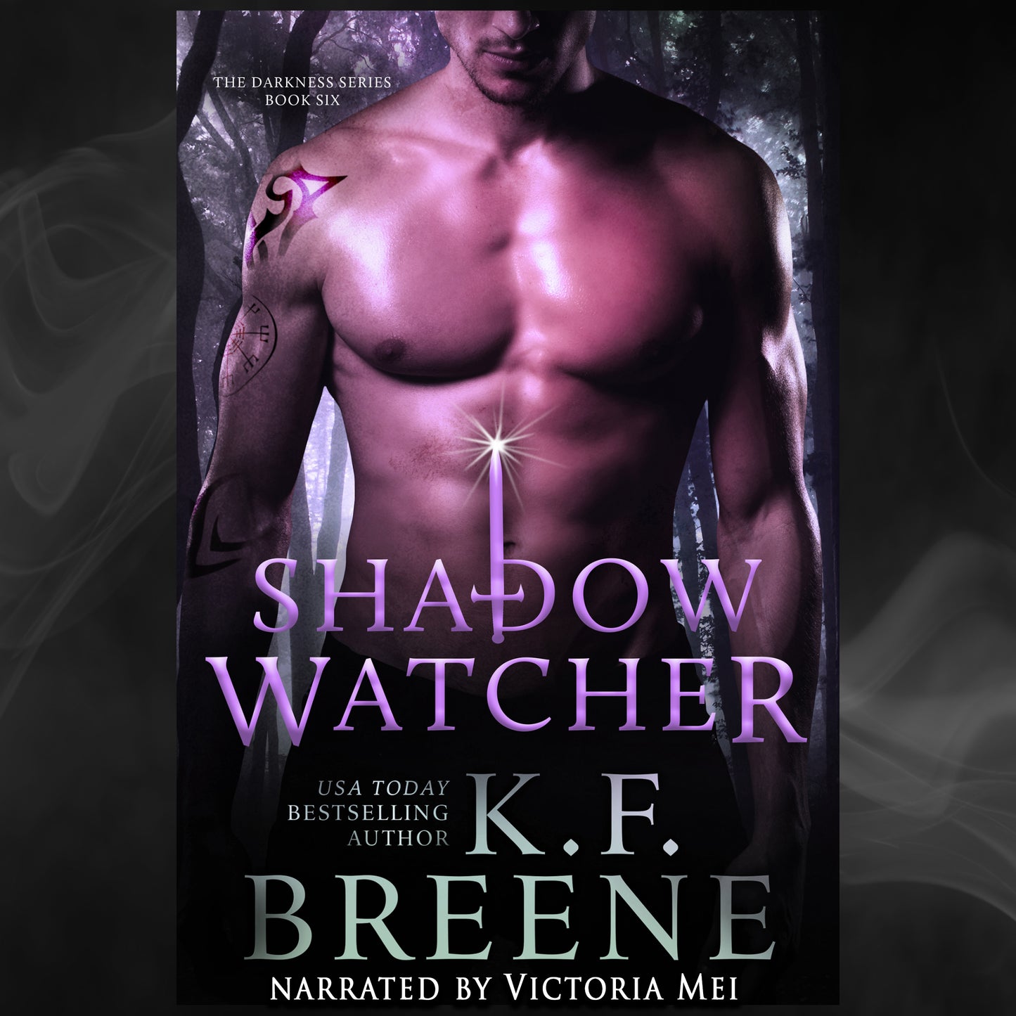 Shadow Watcher audiobook (Darkness series, book 6)