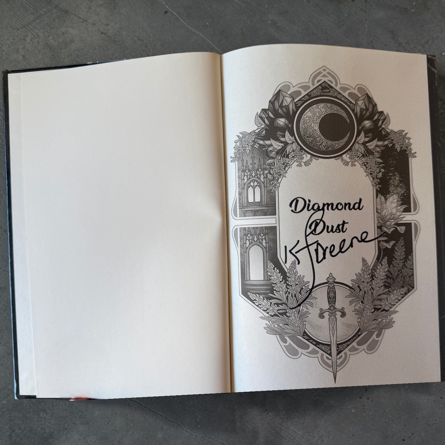 Diamond Dust Hardcover (Shadowbound Fae, Book 2)