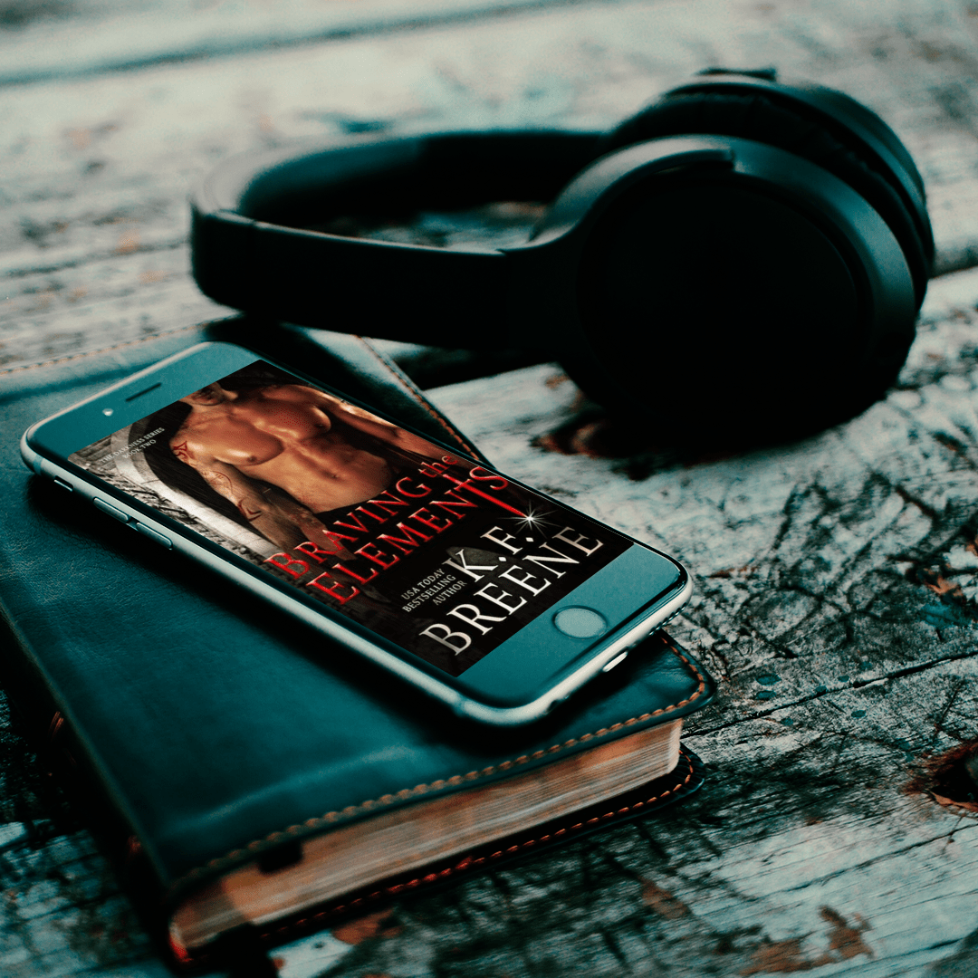 Braving the Elements Audiobook (Darkness Series, Book 2)