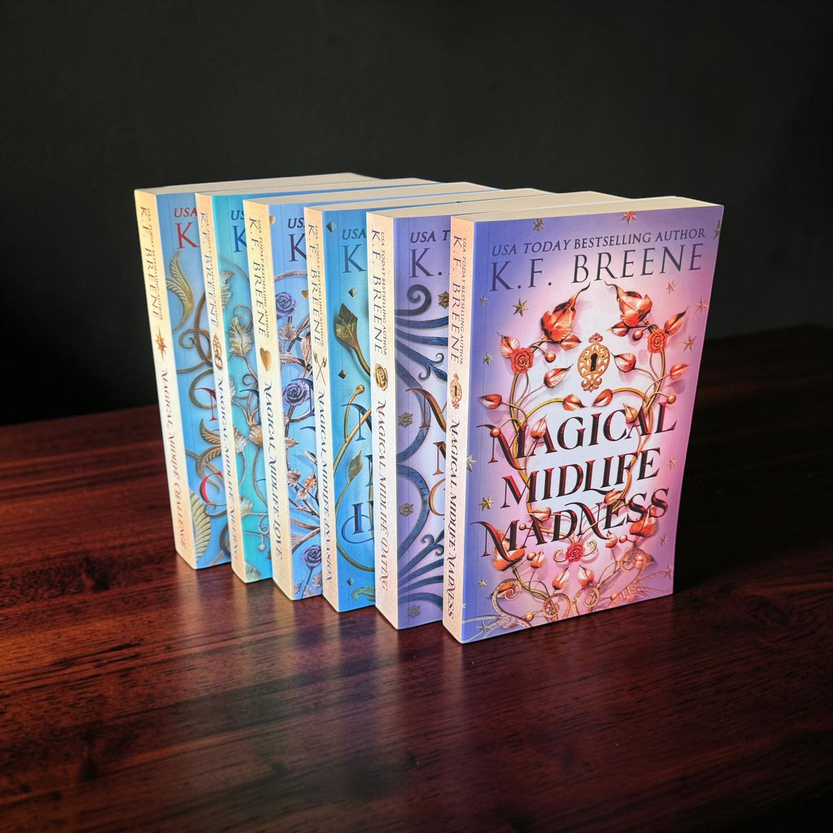 Books 1-6 Leveling Up/Magical Midlife Series Bundle
