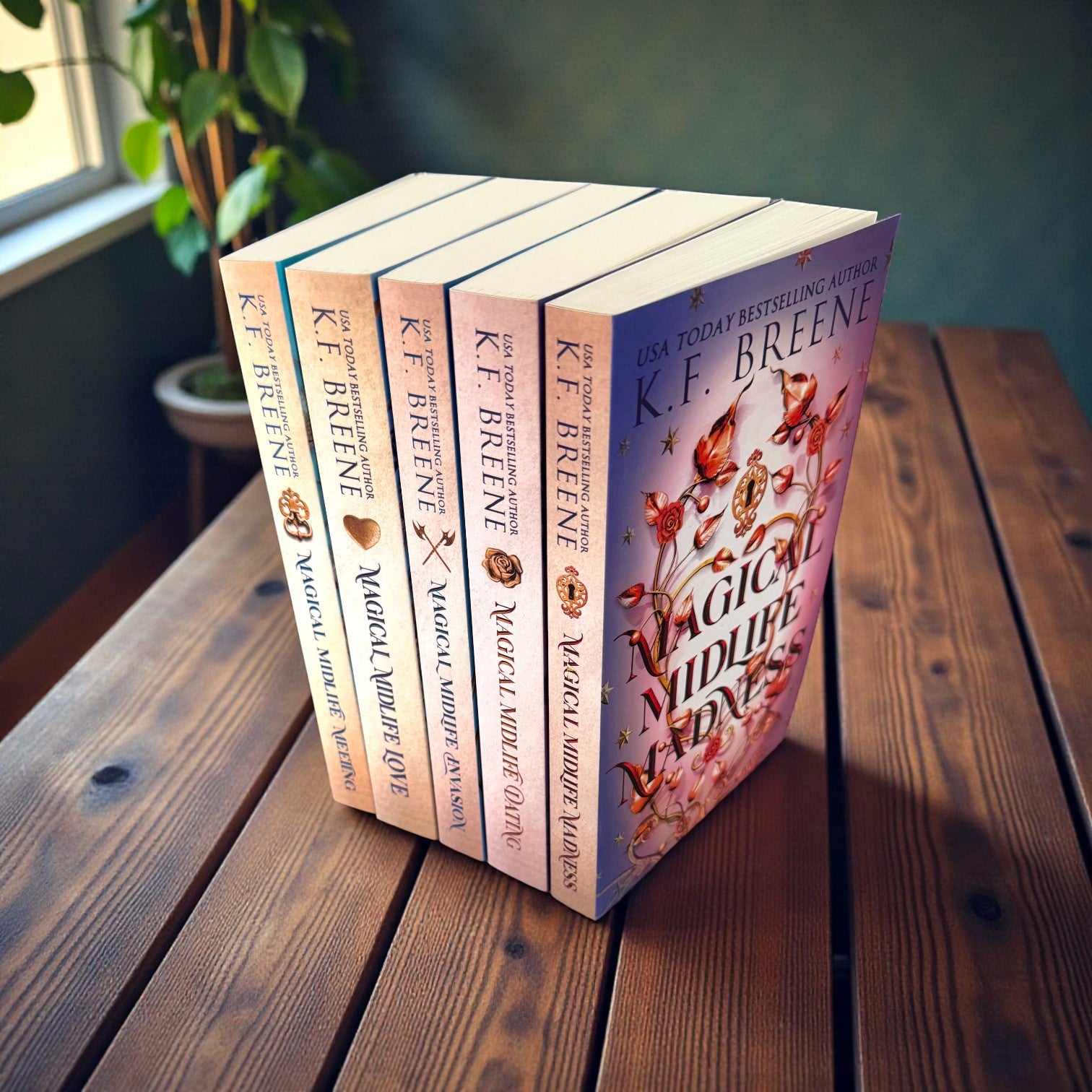 Books 1-5 Leveling Up/Magical Midlife Series Bundle